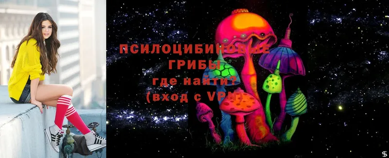 Псилоцибиновые грибы Magic Shrooms  Железногорск-Илимский 